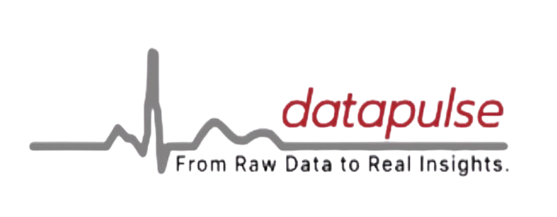 Datapulse AI